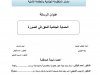 رسالة ماستر بعنوان الحماية الجنائية للحق في الصورة