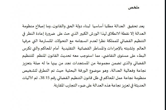 النجاعة القضائية بين قانون التنظيم القضائي الجديد وواقع المحاكم بالمغرب