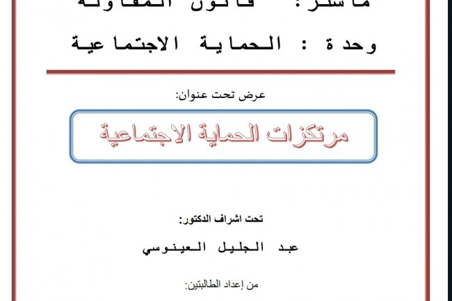 مرتكزات الحماية الاجتماعية