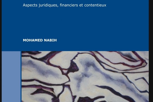 Ouvrage Droit des marchés publics  Aspects juridiques, financiers et contentieux 
