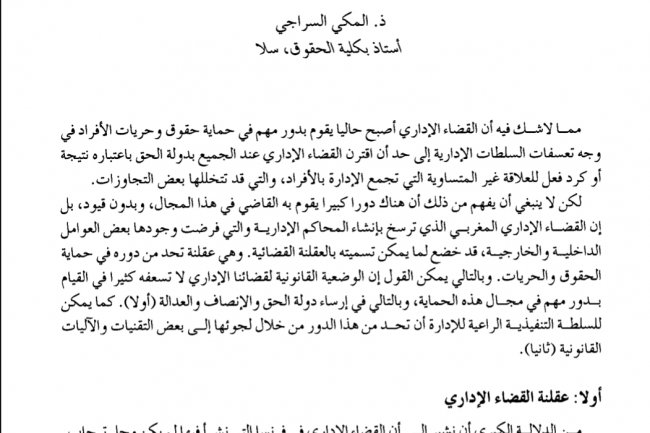 القضاء الإداري بين العقلنة وتدخل السلطة التنفيذية