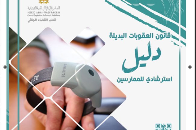 قانون العقوبات البديلة دليل استرشادي للممارسين