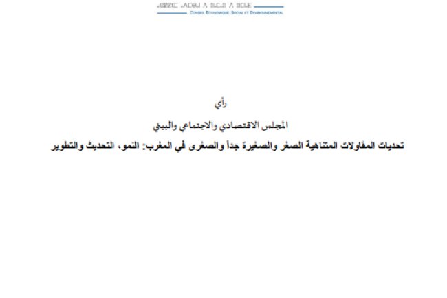 تقرير المجلس الاقتصادي والاجتماعي والبيئي حول تحديات المقاولات المتناهية الصغر والصغيرة جداً والصغرى في المغرب: النمو، التحديث والتطوير