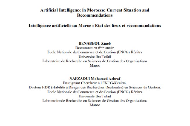 Artificial Intelligence in Morocco: Current Situation and Recommendations