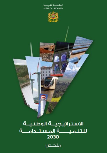 ملخص الاستراتيجية الوطنية للتنمية المستدامة  2030