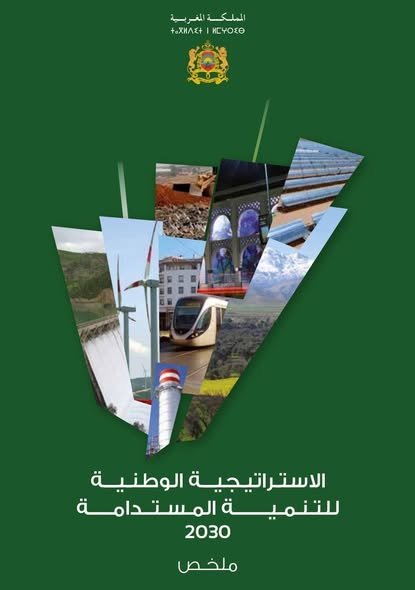 ملخص الاستراتيجية الوطنية للتنمية المستدامة 2030.